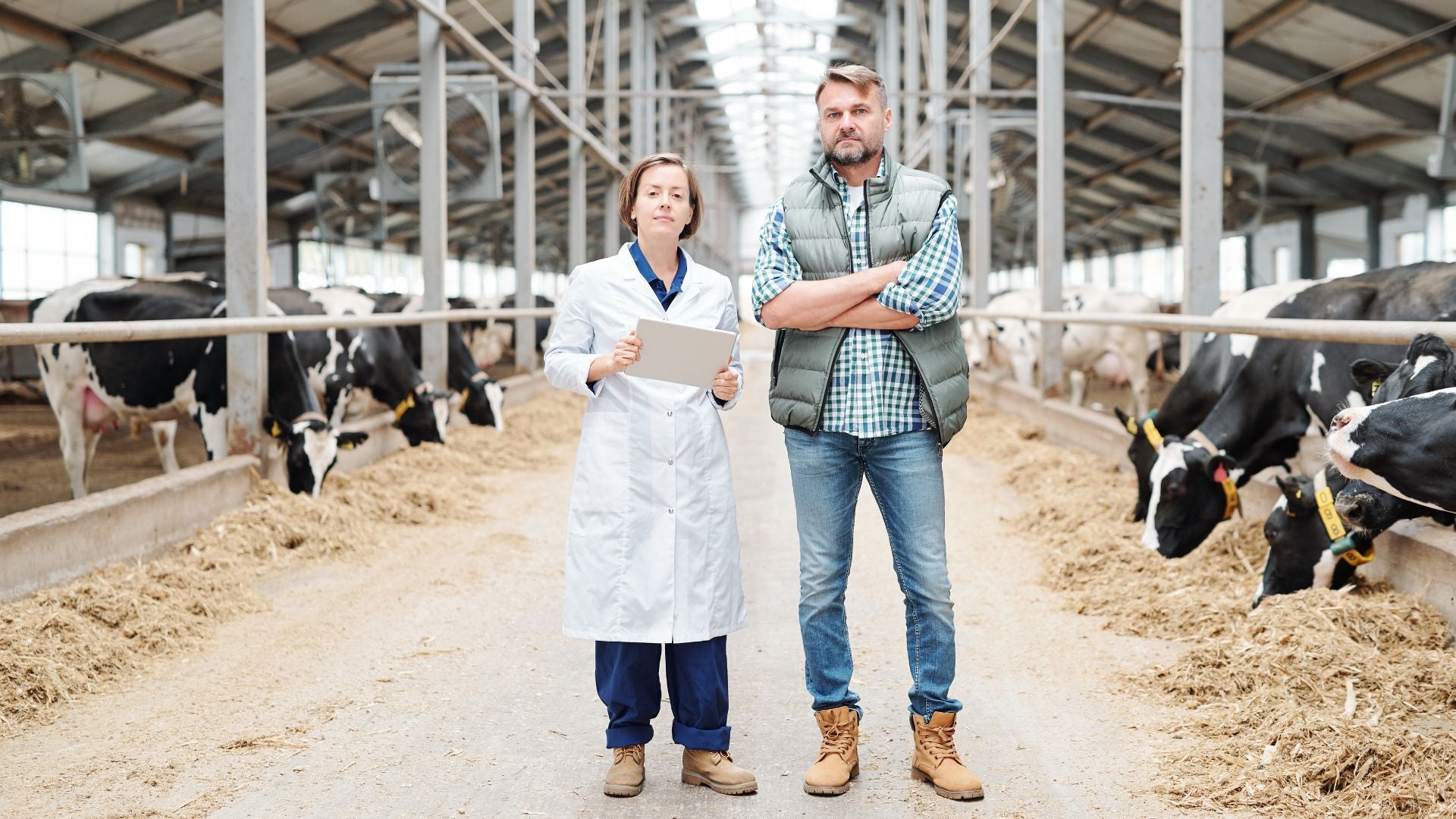 Essential Elements for Vet Workwear: What You Need to Know
