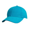 Heavy Brushed Cotton Cap