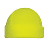 Polar Fleece Beanie