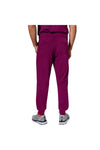 Healing Hands Men's Nolen Jogger Pant