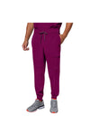 Healing Hands Men's Nolen Jogger Pant