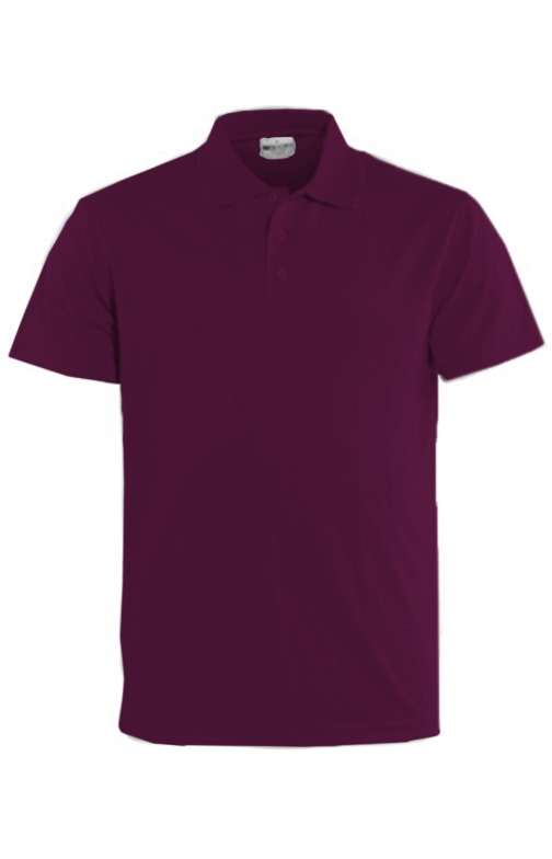 Women's Breezeway Polo - Purple