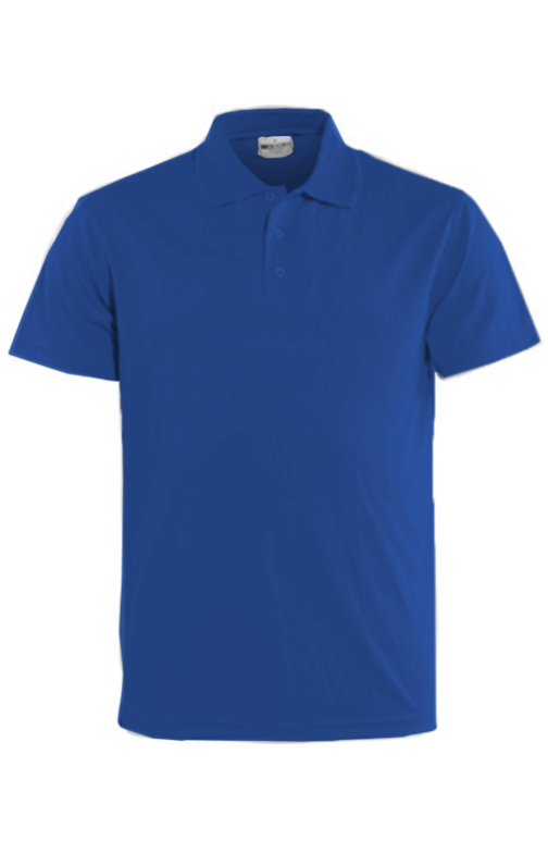 Women's Breezeway Polo - Royal